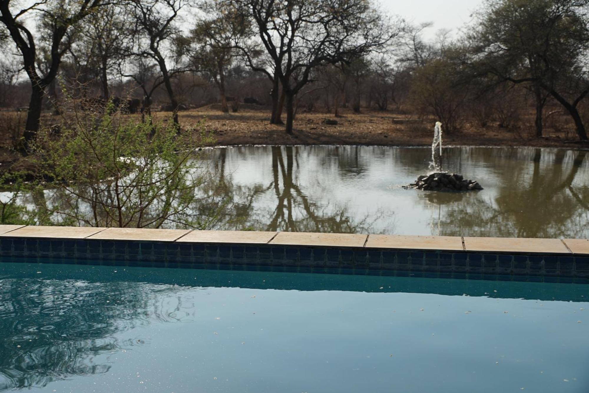 Kwele Game Lodge Beauty Extérieur photo