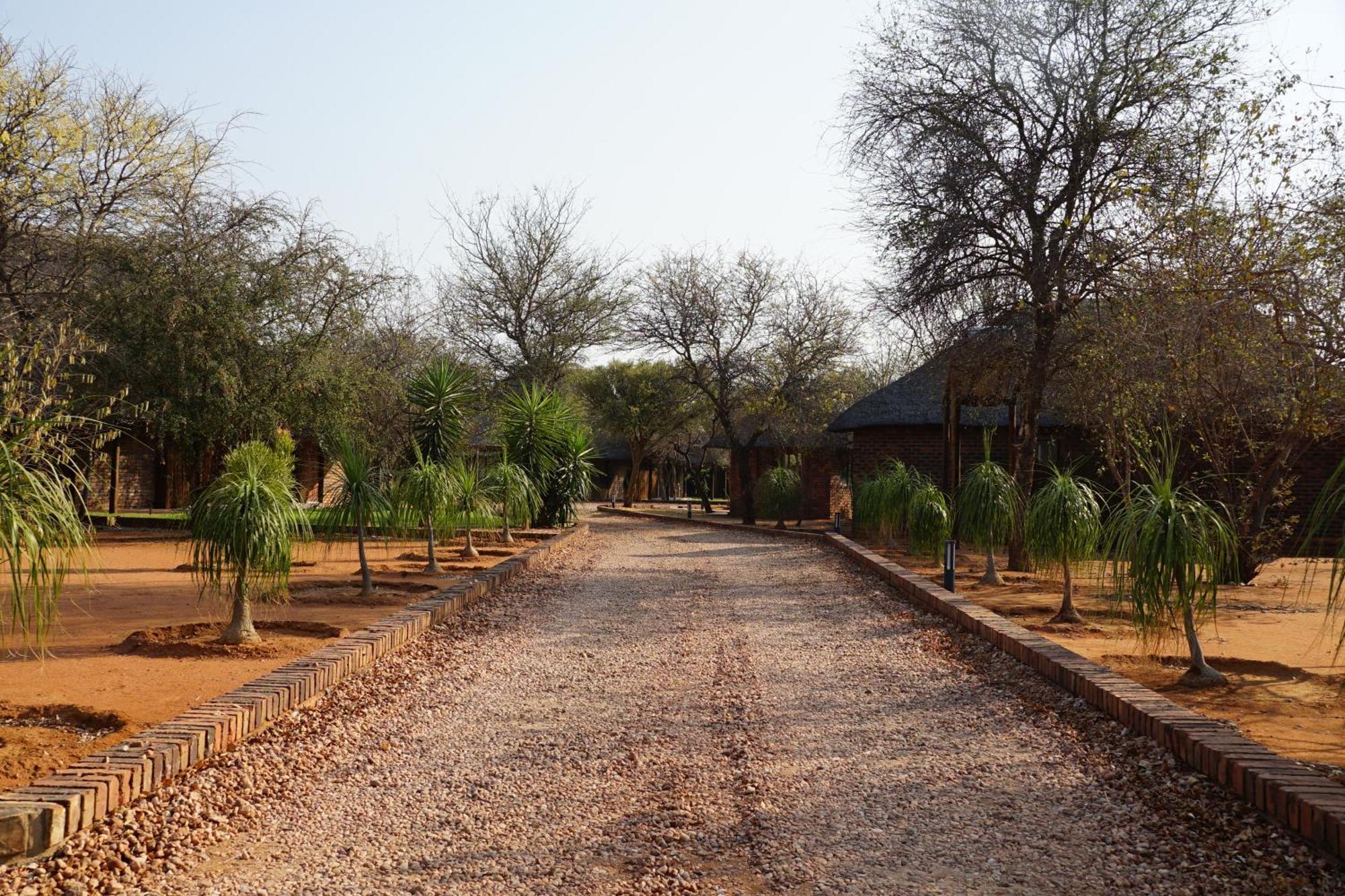 Kwele Game Lodge Beauty Extérieur photo